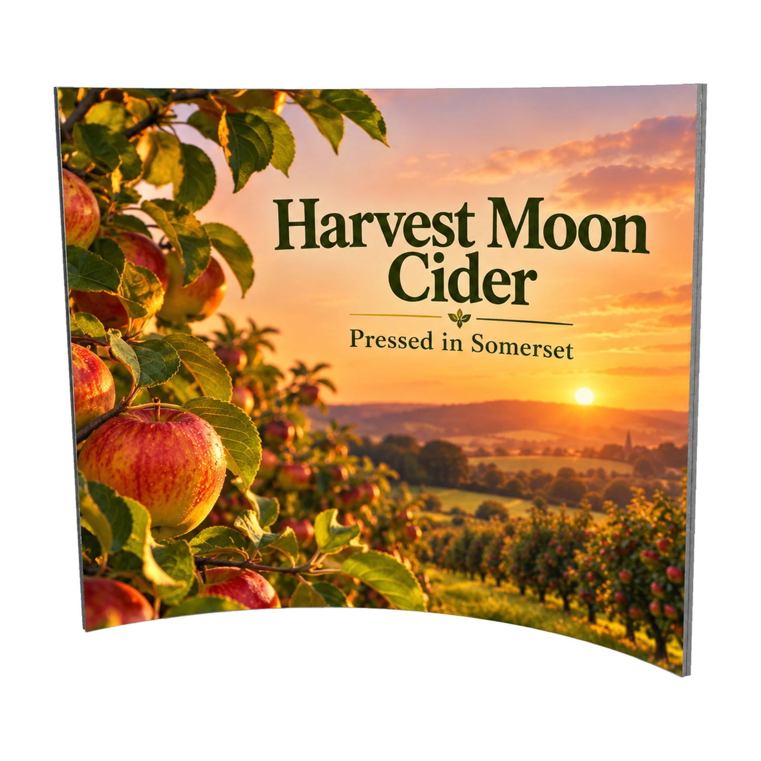 2.8m x 2.5m Vector Curved SEG Fabric Wall Module with example artwork
