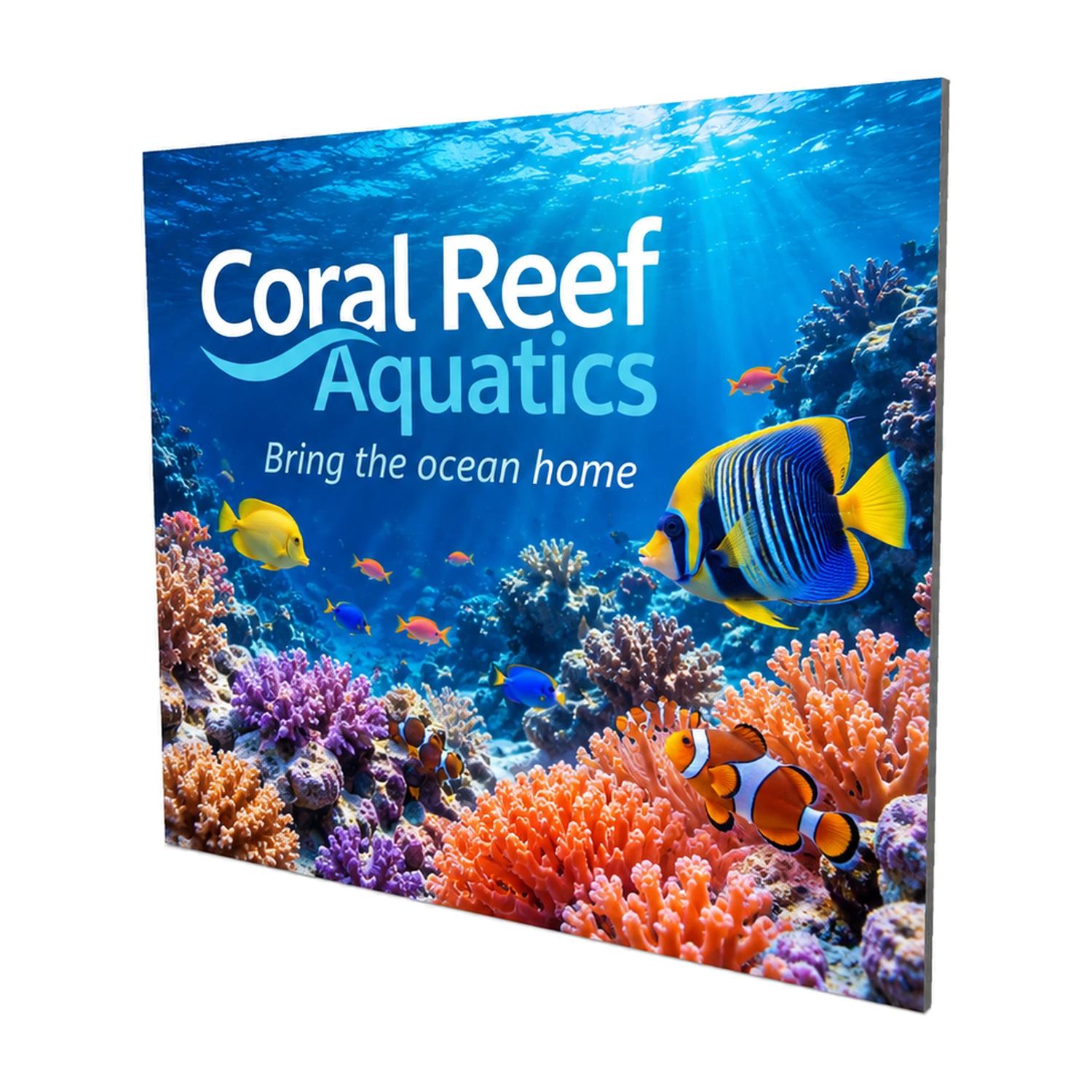 2.95m x 2.5m Vector SEG Fabric Wall Module with example artwork