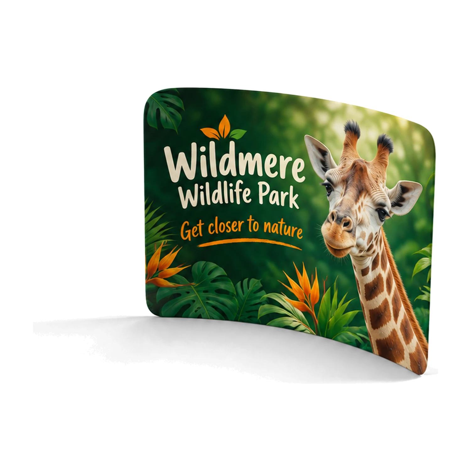 Curved Stretch Fabric Display Wall with example artwork