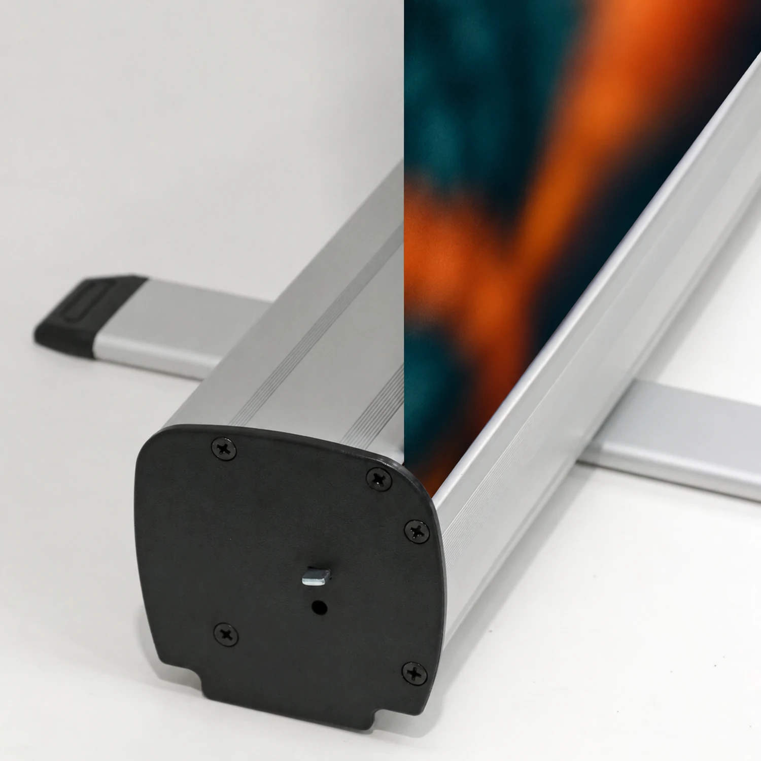 Raptor Roller Banner detail