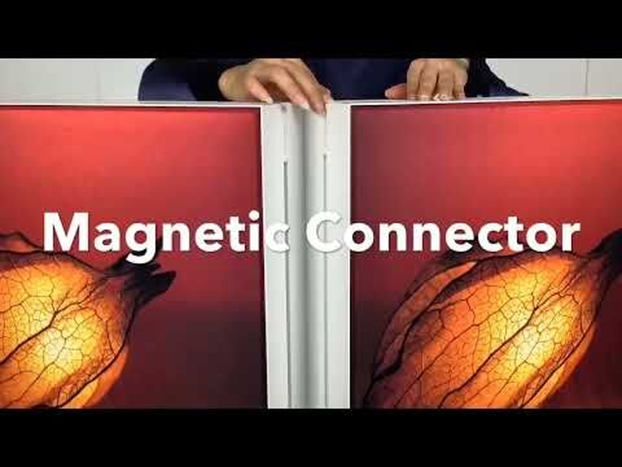 Glopix LED Light Box - 2000mm x 3000mm x 120mm - Image 7